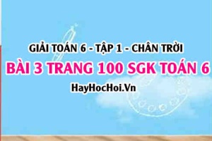 Giải bài 3 trang 100 Toán 6 Tập 1 SGK Chân trời sáng tạo
